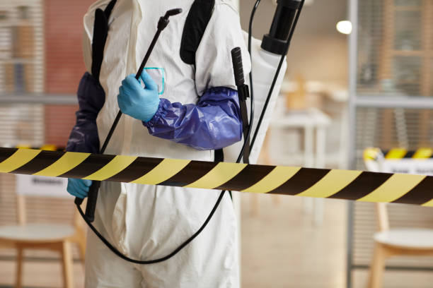 Professional Biohazard technician working in Naples, ME